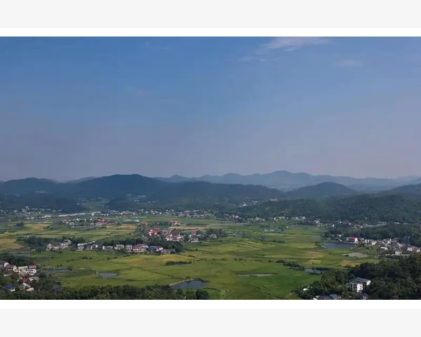 儿童脾胃不佳对睡眠的影响探讨