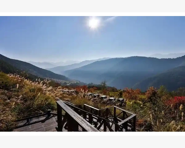 盐水的妙用：舒缓喉咙不适，缓解咳嗽，有效化痰
